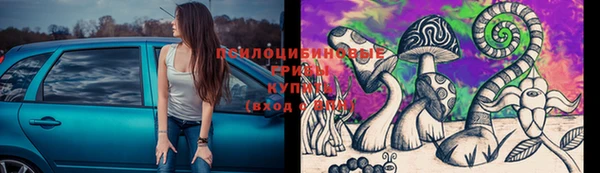 стаф Снежногорск
