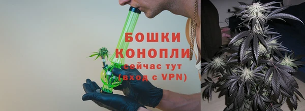 твердый Козельск