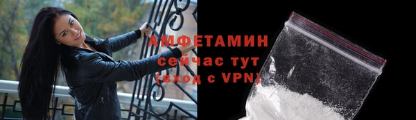 твердый Козельск