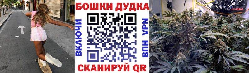 Бошки марихуана сатива  Купить закладки  Вышний Волочёк 